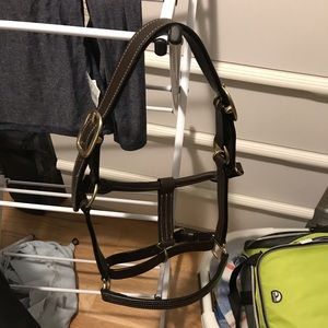 Cob sized leather halter